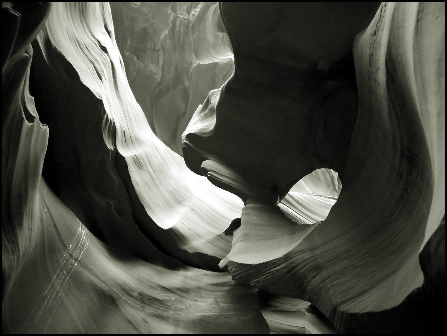 2017 Adventures in Nature photography contest